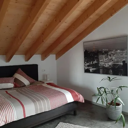 Fewoherrmann Gundelsheim  Extérieur photo